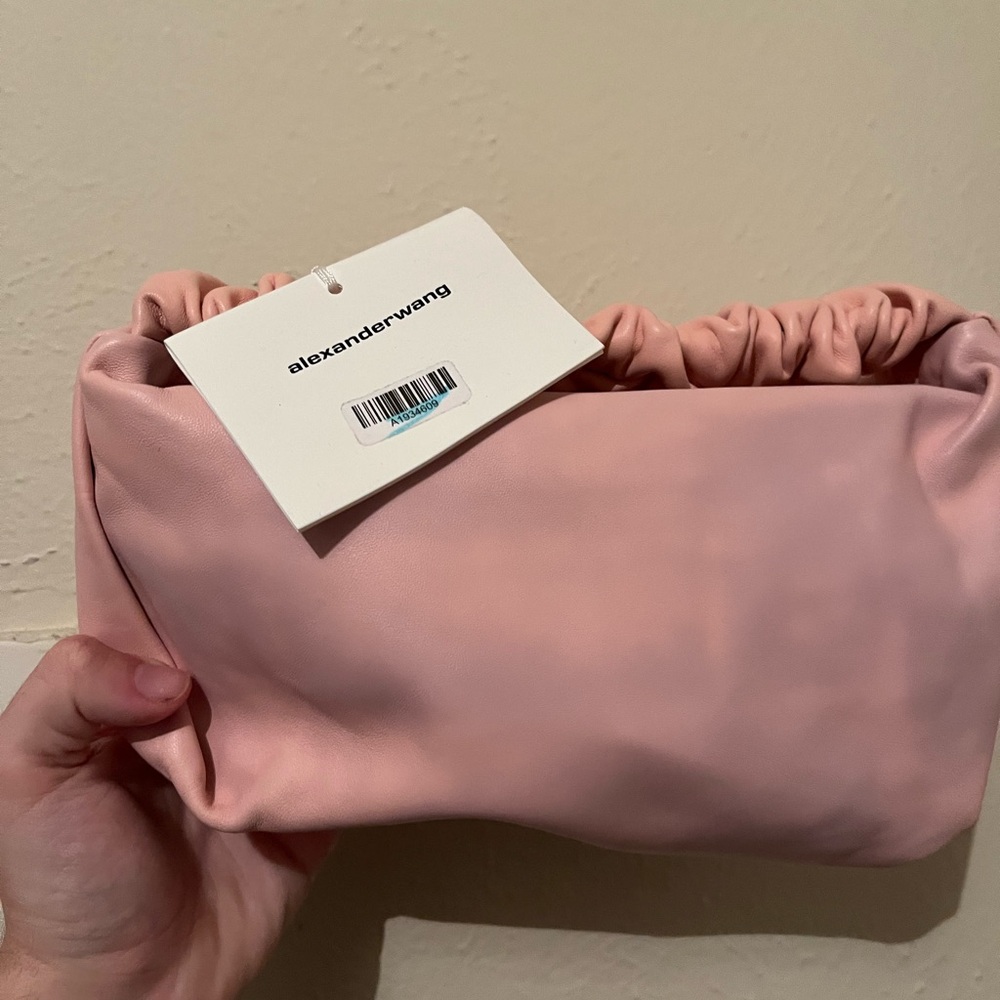 Alexander Wang Scrunchie Purse (pink)